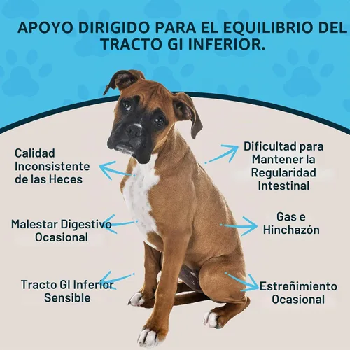 Vista 2 de Animal Essentials Colon Rescue Herbal GI Support para perros y gatos, 1 onza líquida, ayuda digestiva fabricada en Estados Unidos, mezcla