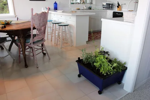 Vista 3 de Emsco Grupo Bountiful caja de cultivo, cama elevada para cosechar, maceta hidrofónica, no eléctrica