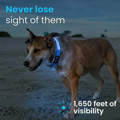 Vista 2 de Tractive Collar de perro con luz LED recargable USB impermeable (azul)