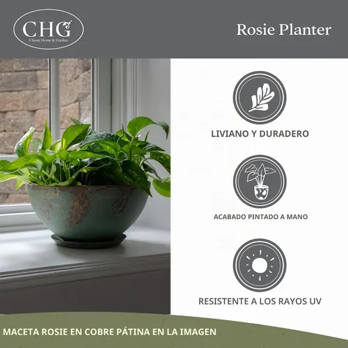 Vista 4 de GROWSCAPE Rosie Planter Bowl, with Drainage and Saucer, 10” Earth TIERRA