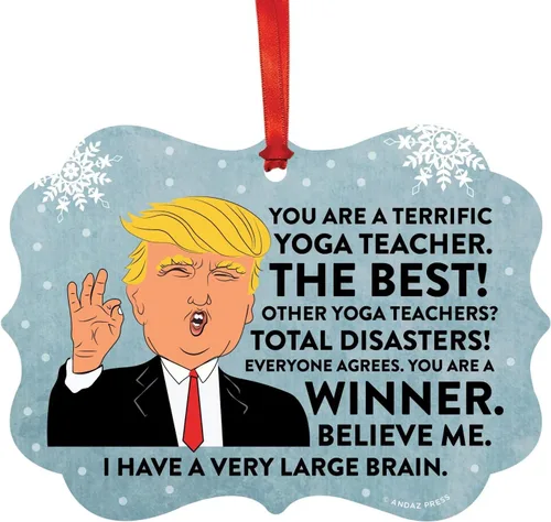 Vista 77 de Andaz Press Presidente Donald Trump Fancy Frame Recuerdo Adorno de Navidad Regalo de broma, excelente contador, 1 paquete, divertidas ideas