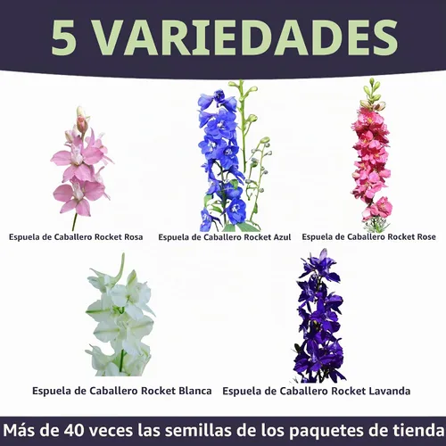 Vista 3 de Rocket Larkspur Imperial Mix - Bolsa a granel de 1/4 libra - 30,000 semillas de flores para plantar - Consolida ajacis