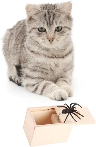 Vista 7 de Winbar Caja de Trucos de Araña de Goma, Caja Sorpresa de Trucos de Madera Hecha a Mano con Araña Oculta en Una Caja, Juguetes de Trucos para Adultos