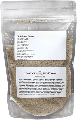 Vista 2 de Hancock Seed Co. Semillas de hierba de Teff, 10 libras.