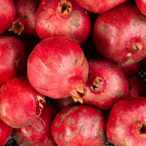Vista 6 de 2 maravillosos árboles de granada vivos, árboles frutales bien enraizados Tamaño de 10 a 15 pulgadas de alto