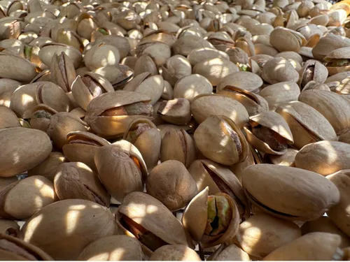 Vista 3 de Tastachios Wood Fire Roasted Pistachios - Bolsa de 2 libras, sabor original, sin gluten, proteína a base de plantas, sin OMG, apta para dieta