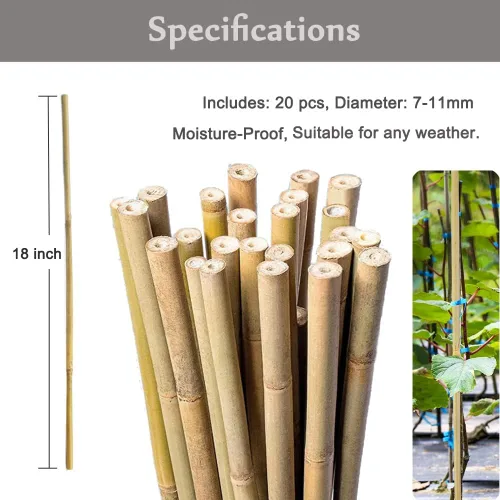 Vista 2 de 20 estacas de bambú natural de 18 pulgadas para plantas de interior, palos de bambú, estacas de bambú de jardín para plantas en maceta, tomate