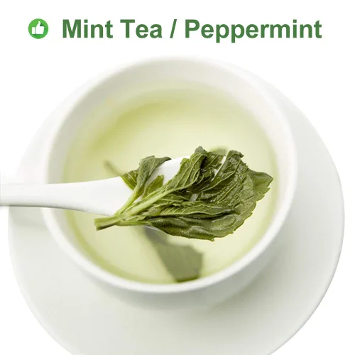 Vista 3 de Plant Gift Té 100% menta, té de menta, hojas de menta, té saludable, bolsas de té de menta orgánica, flor saludable, té de menta 0.7 onzas