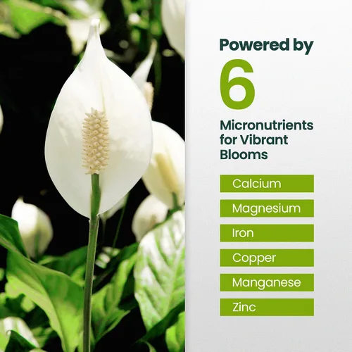 Vista 5 de Fertilizante líquido para plantas de lirio de la paz de 16oz - Produce 96 galones de fertilizante para lirio de la paz - Alimento líquido rico