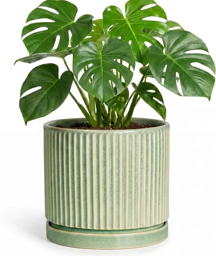 Vista 13 de 8 Inch Flower Pot, Ceramic Planters, Round Plant Pot, Beige