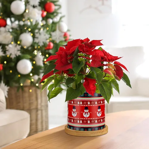 Vista 4 de Tioncy 6 macetas de Navidad de 3.15 pulgadas, suéter feo de Navidad, macetas de plástico para suculentas con drenaje y bandeja para plantas