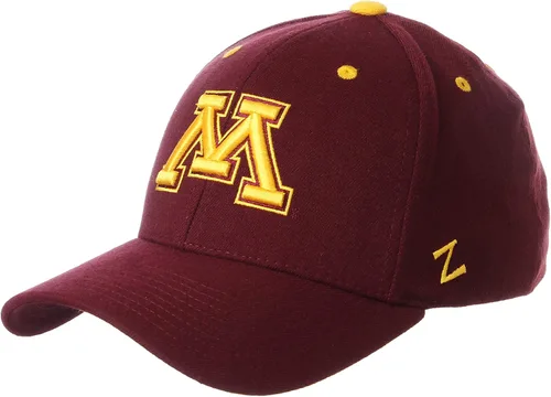 Vista 23 de ZHATS - Sombrero ajustado elástico para hombre de la NCAA, color del