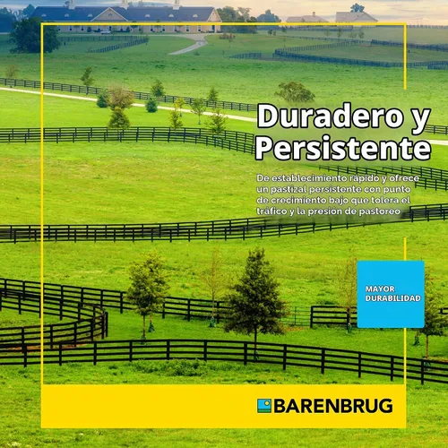 Vista 5 de Barenbrug Horsemaster Premium - Mezcla de semillas de pasto (bolsa de 25 libras)