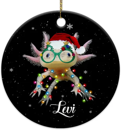 Vista 7 de HYTURTLE Adorno de Navidad personalizado de ajolote 2023 – Nombre personalizado para niños/niñas, bonitos adornos de Navidad para niños, adornos
