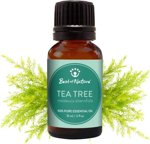 Vista 8 de Bergamota Aceite Esencial – 1/2 oz (0.5 fl oz) – 100% puro y natural.