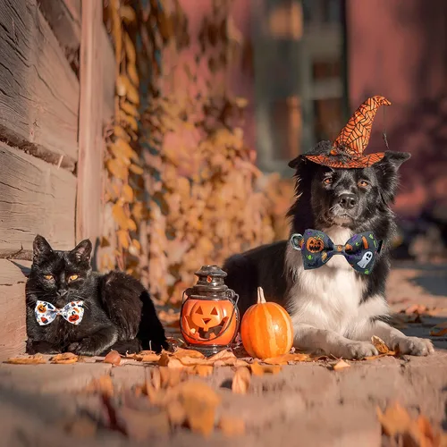 Vista 8 de Paquete de 2 collares de perro de Halloween con corbatín, linterna de Navidad y collar de calabaza para perros pequeños, medianos y grandes