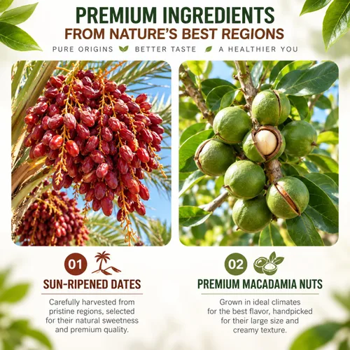 Vista 5 de Dátiles premium rellenos de nueces de macadamia, dátiles masticables suaves en caja con nueces de macadamia crujientes, sin azúcar añadido