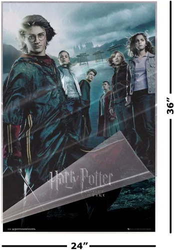 Vista 2 de Harry Potter y el cáliz de fuego - Póster de película (estilo regular) (tamaño: 24 x 36 pulgadas) (póster laminado)