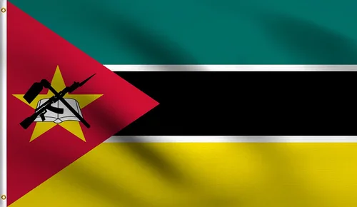 Vista 55 de DMSE - Bandera nacional beninesa beninesa de la República de África Occidental, 2 x 3 pies, 100 % poliéster, 100 % poliéster, resistente a los rayos