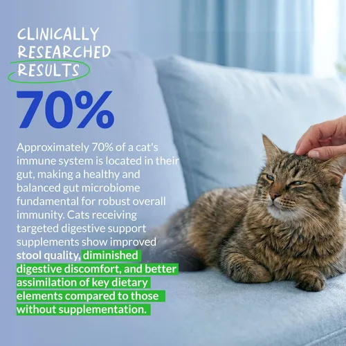 Vista 3 de Probióticos para gatos - Soporte para diarrea y gases - con inulina y prebióticos - Salud intestinal digestiva - Alergias, apoyo