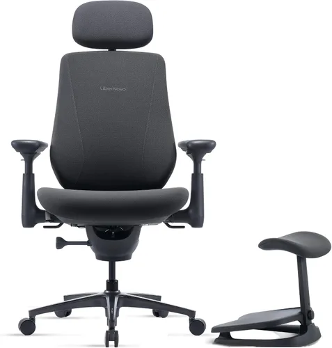 Vista 11 de LiberNovo Maxis Airflow - Silla de oficina ergonómica grande y alta