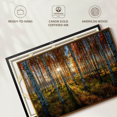 Vista 6 de ElephantStock - Swedish Birch Forest Wall Art - Horizontal Floating Framed Canvas - Hallway Wall Decor - Photography Nature Framed Canvas Art