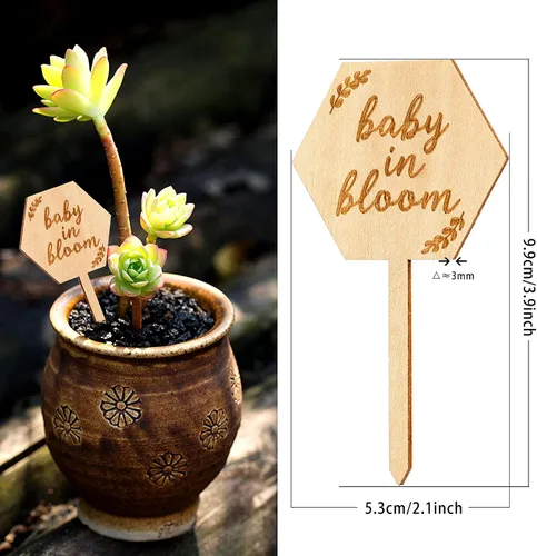 Vista 3 de Parbee - Etiquetas hexagonales «Baby in Bloom» ecuerdos de baby shower, 20 etiquetas para suculentas, regalos de madera, estacas para jardín