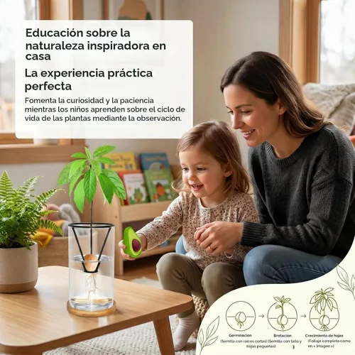 Vista 5 de Kit de cultivo de árbol de aguacate con cepillo para botellas, figura de aguacate, base de bambú, jarrón de iniciación de semillas de aguacate