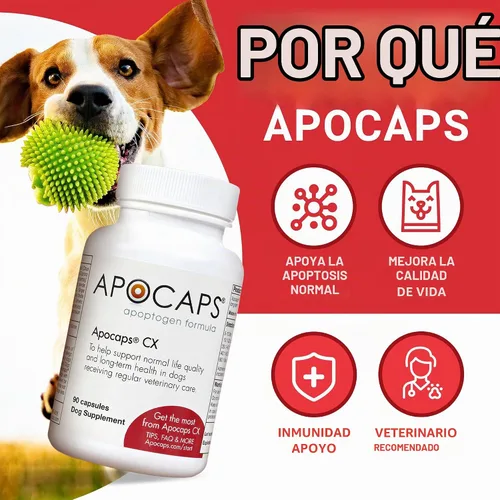 Vista 2 de apocaps CX apoptogen Fórmula para perros (90 Cápsulas), paquete de de 1