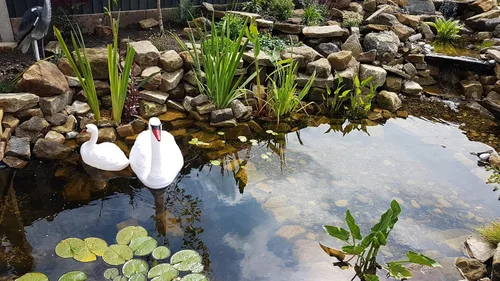 Vista 3 de Cesta cuadrada para plantas de malla de plástico Koi Pond, 13 pulgadas
