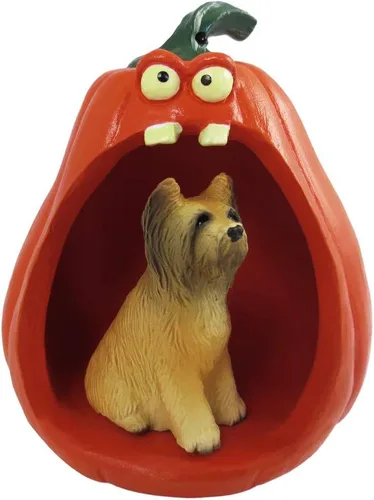 Vista 86 de Conversation Concepts Figura de Corgi galés de Halloween y calabaza Welsh Corgi Pembroke