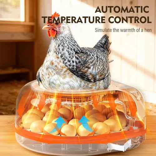 Vista 5 de Incubadoras para incubar huevos 3 en 1 Incubadora de aves de corral totalmente automática Control automático de temperatura y humedad, giro Beige