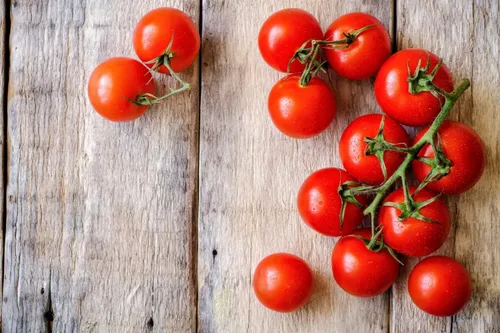 Vista 4 de Semillas de bonsái de tomate de interior 30+ semillas para plantar tomate enano de interior variedad de tomate autopolinizador