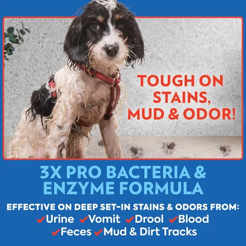 Vista 3 de OUT! PetCare - Spray removedor de olores y manchas para mascotas, limpiador de alfombras y pisos, desodorante para perros y gatos, fabricado