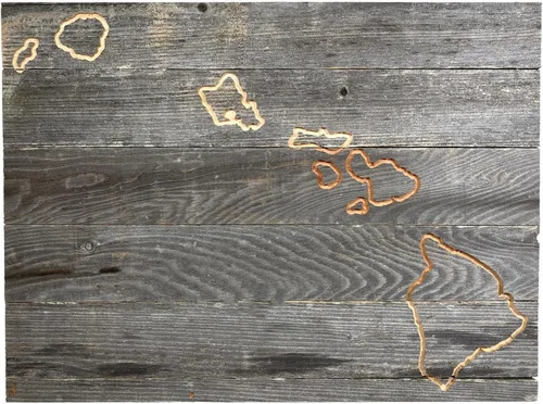 Vista 15 de Letrero de madera rústica de Alabama para casa de campo, decoración del hogar de pared estatal, es un gran regalo temático de AL para recién