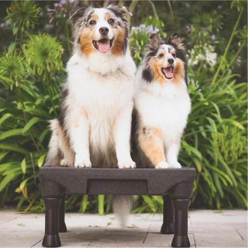 Vista 5 de Blue-9 Pet Products KLIMB - Plataforma de entrenamiento para perros y sistema de agilidad, duradero y portátil para uso en interiores o exteriores
