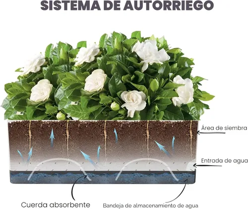 Vista 2 de Macetas de riego automático en macetas para plantas de interior, paquete de 7 unidades de 4+8+17 pulgadas, macetas de ventana de plástico, maceta