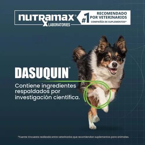 Vista 3 de Nutramax Dasuquin Suplemento para articulaciones para perros grandes, tabletas masticables, 150
