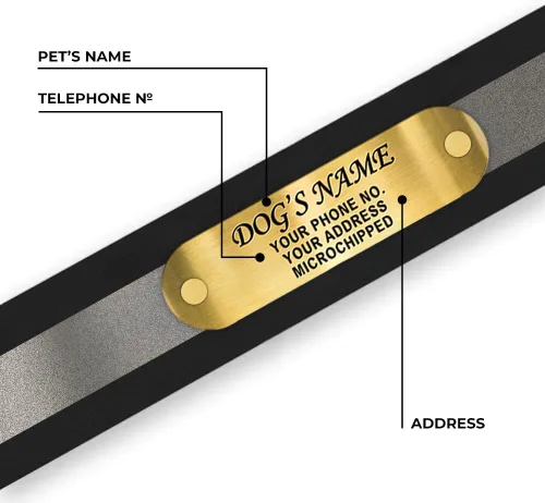 Vista 4 de Regal Dog Products Collar de perro reflectante negro pequeño con placa de nombre grabada personalizada y anillo central resistente Collares
