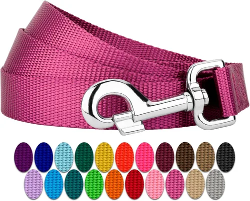 Vista 15 de Country Brook Petz - Correa para perro de nailon duradera de estilo tradicional de 1 pulgada con broche fácil de usar para razas pequeñas, medianas