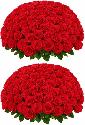 Vista 14 de [Usado] 50 flores artificiales de rosas blancas Beige