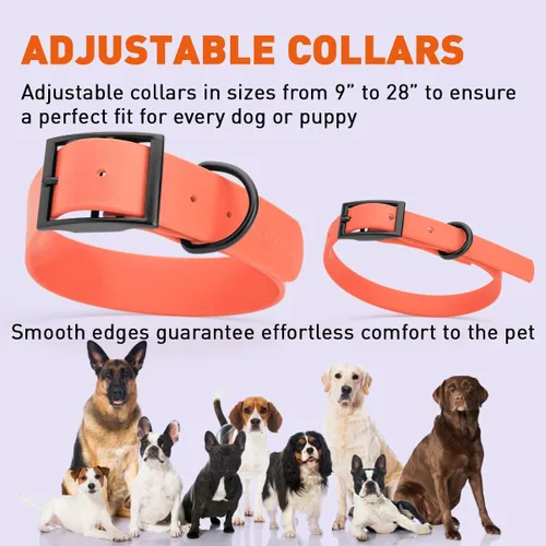 Vista 123 de Dogline Biothane - Collar impermeable para perro con hebilla de liberación rápida, resistente cincha de nailon recubierta con resistente y a prueba