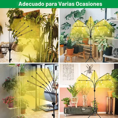 Vista 7 de yentbokj Lámparas LED ajustables de 5 cabezas, lámpara de cultivo de espectro completo con temporizador, luz blanca cálida para plantas