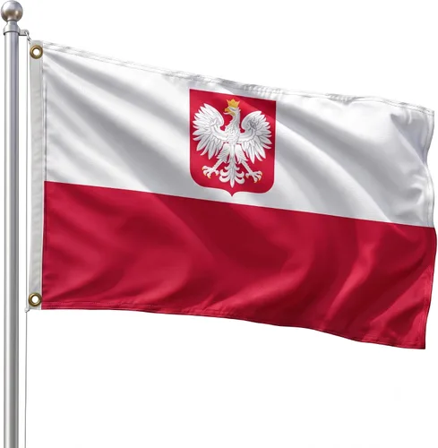Vista 54 de DMSE - Bandera nacional beninesa beninesa de la República de África Occidental, 2 x 3 pies, 100 % poliéster, 100 % poliéster, resistente a los rayos