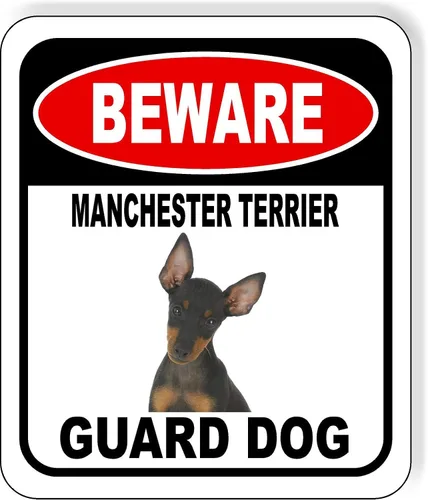 Vista 69 de BEWARE BASSETT HOUND GUARD DOG - Letrero compuesto de aluminio para exteriores, 8.5 x 10 pulgadas CUIDADO BASSETT HOUND GUARD PERRO