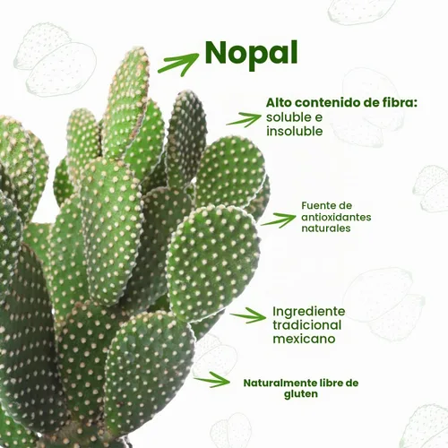 Vista 4 de Nopalina Fórmula de fibra 120 cápsulas Semilla de lino, psyllium, avena y salvado de trigo, Omega 3, 6 y 9 Salud intestinal y regularidad