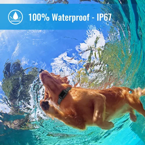 Vista 3 de Petrainer - Collar de perro 100% impermeable con control remoto para entrenamiento con pitido / Vibración / golpe eléctrico, collar electrónico