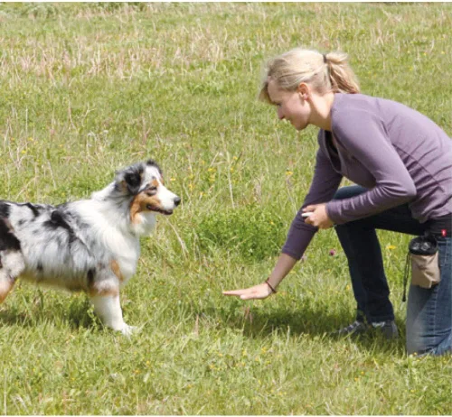 Vista 6 de Clicker de entrenamiento para perros con correa para la muñeca, duradero, ligero, fácil de usar, paquete de 2 (negro+azul nuevo)