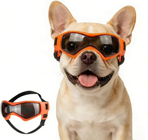 Vista 18 de Gafas de sol para perros de raza media, lentes reemplazables transparentes/negras, protección UV para perros medianos, protección ocular de perro