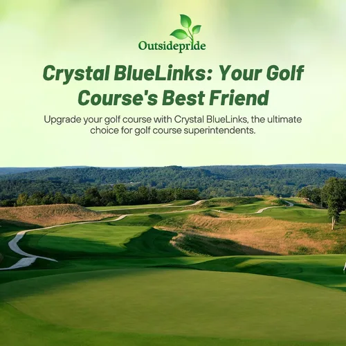 Vista 5 de Outsidepride Crystal Bluelinks - Semilla de césped doblada rastrera – 1 libra de césped denso para verdes de golf y superficies de putting, textura